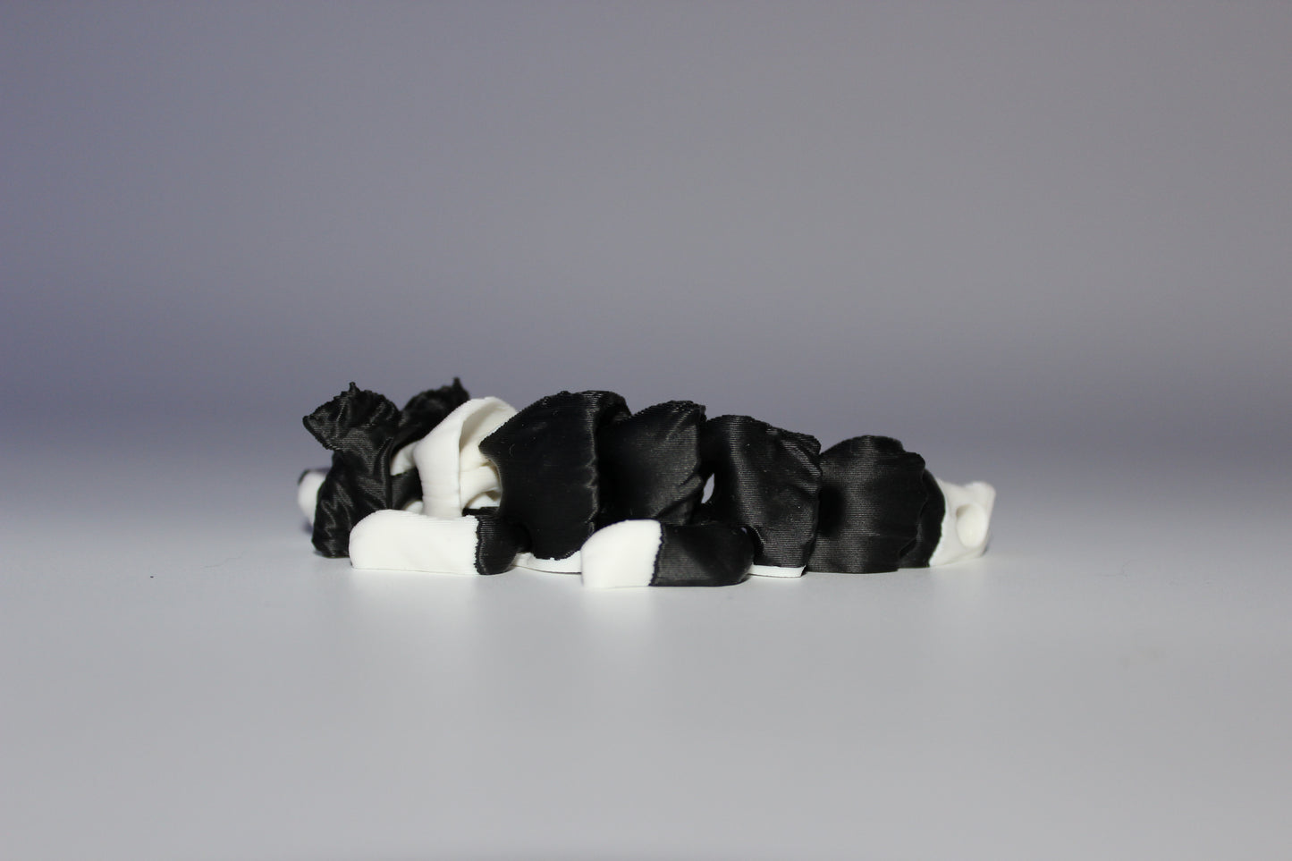 Cardigan Welsh Corgi