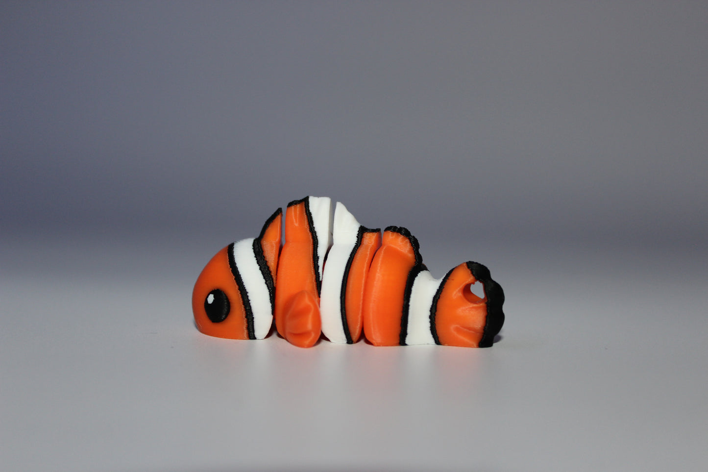 Clownfish