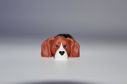 Basset Hound
