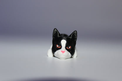 Cat (White and Black)