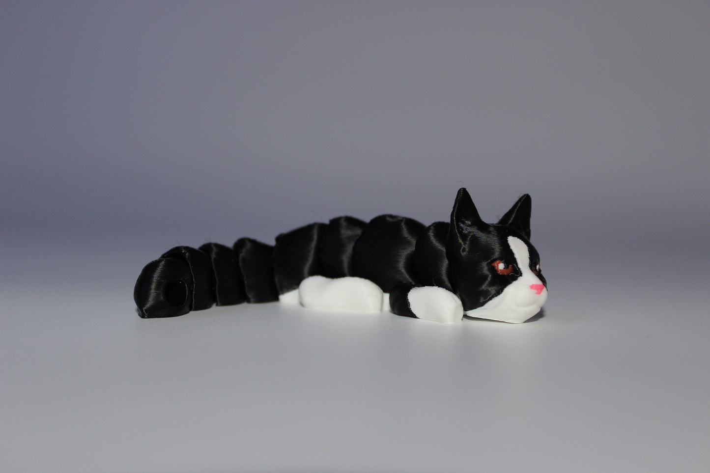 Cat (White and Black)