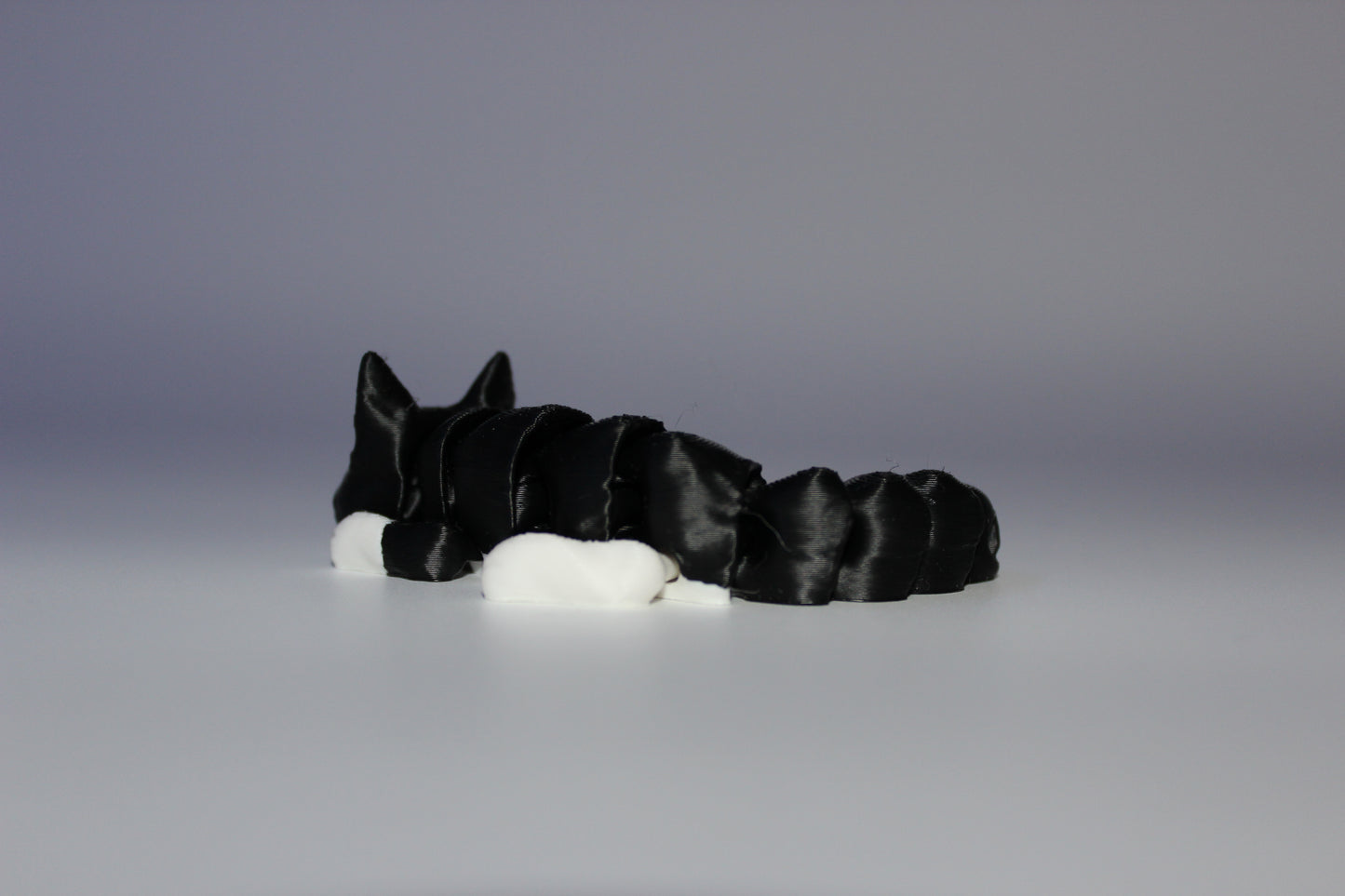 Cat (White and Black)