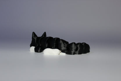 Cat (White and Black)