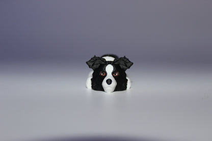 Cardigan Welsh Corgi