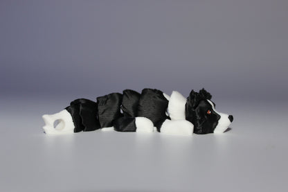 Cardigan Welsh Corgi