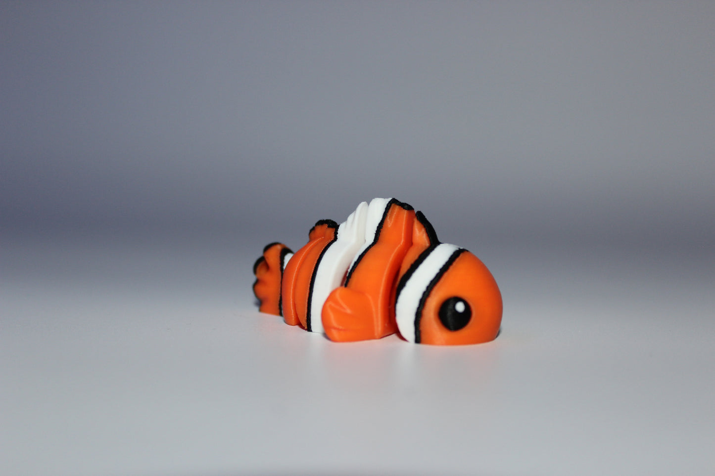 Clownfish
